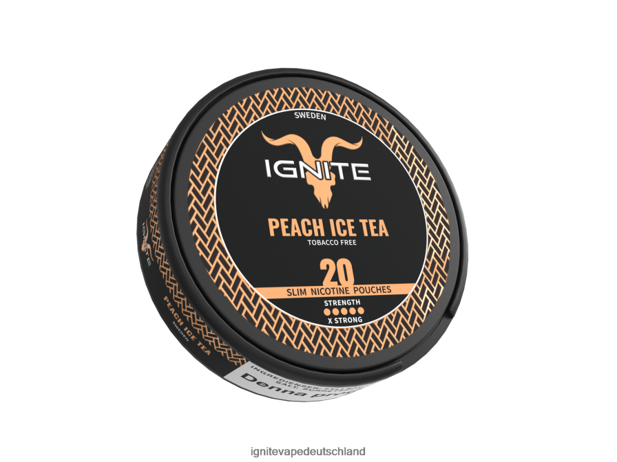 IGNITE Nikotinbeutel Minze Z6R80167 Ignite Vape Price